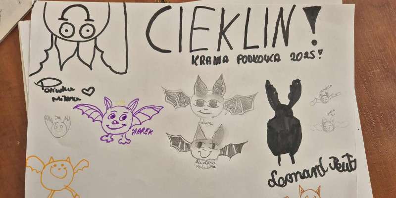 Nietoperz nie taki straszny Nietoperz nie taki straszny