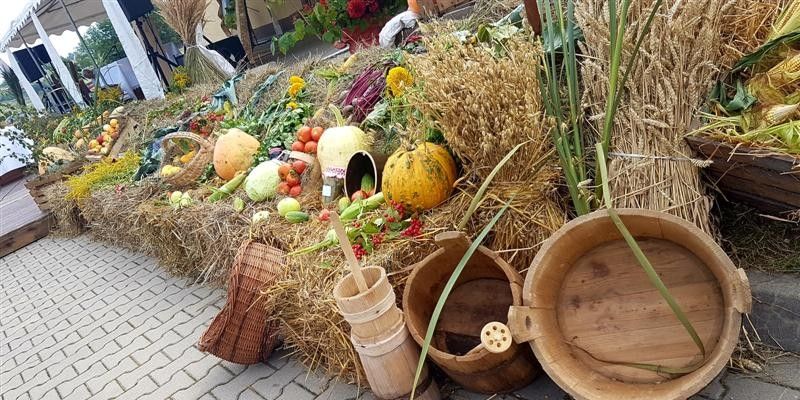 Święto Plonów - Dożynki 21 sierpnia 2016 r - Wola Cieklińska Święto Plonów - Dożynki 21 sierpnia 2016 r - Wola Cieklińska