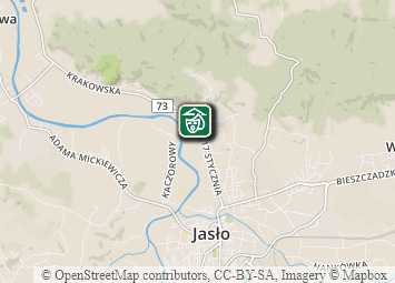 Mapa - Beskid Niski i Pogórze